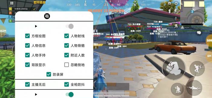 和平精英火焰鸟下载免费 - 热门直装辅助再次来袭